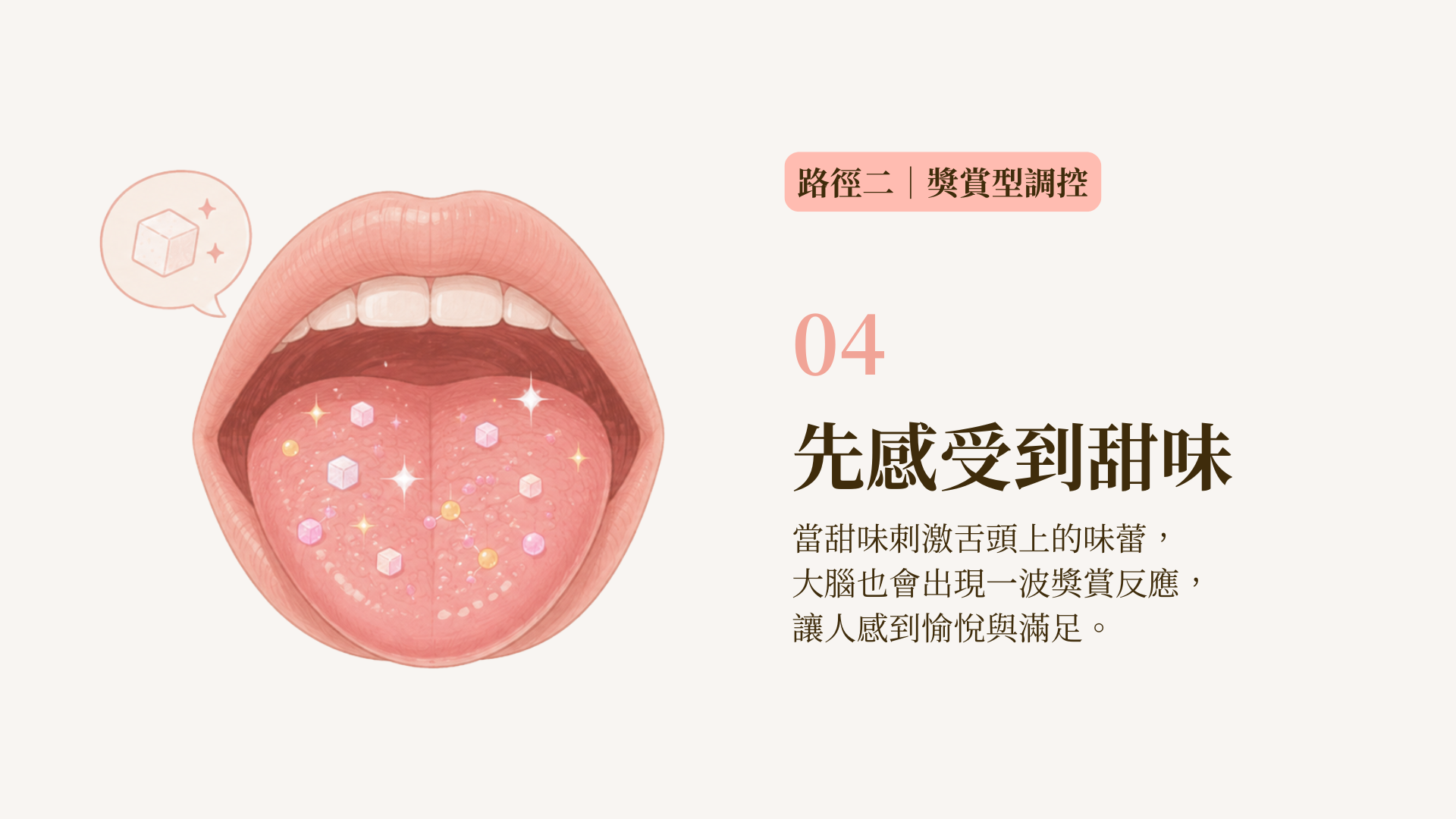 吃糖的人體獎勵機制路線圖4